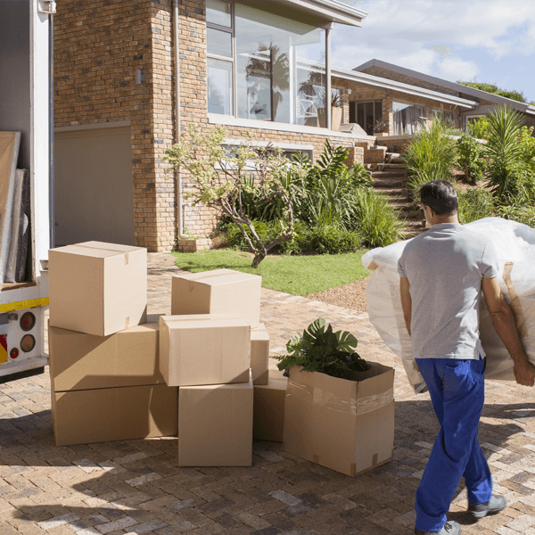 Profesyonel taşıma hizmeti